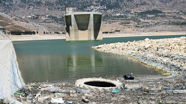 موت القرعون.. المجارير تبتلع البحيرة