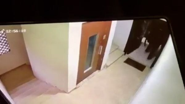 عامل توصيل ينهي حياة مسنٍّ بدم بارد في جسر الباشا