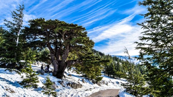 الشتاء قادم.. حضروا ملابسكم الشتوية!