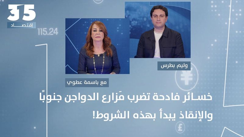 خسائر فادحة تضرب مَزارع الدواجن جنوبا بلا أي تعويض - صرخة أخيرة للجنوبيين: الإنقاذ يبدأ بهذه الشروط!
 