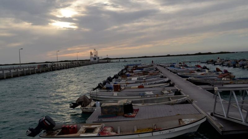 قرار مفاجئ يربك الصيادين