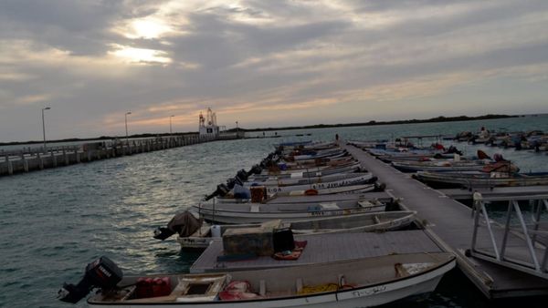 قرار مفاجئ يربك الصيادين