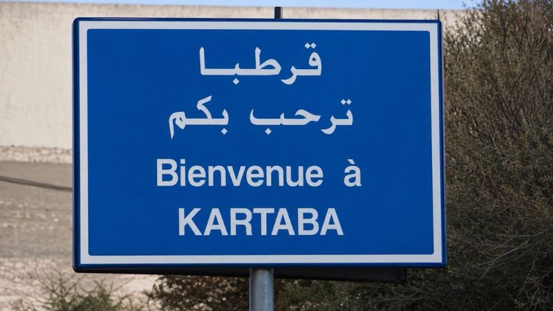 إشكال قرطبا... ماذا جرى قبل إطــلاق النـ ـار؟