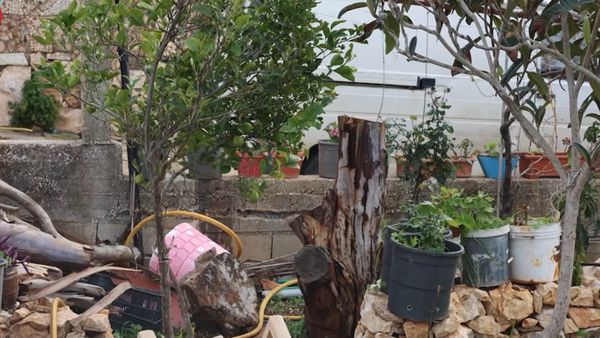 مشاهد من الأفلام... عائلة وحيدة عادت إلى العديسة!