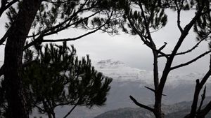 هل يرتدي لبنان الثوب الأبيض مع بداية عام 2026؟