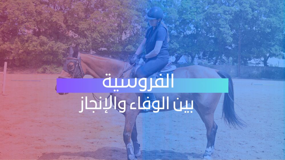 حصان واحد... سنوات من الوفاء وحكاية فارسة لا تتوقف 