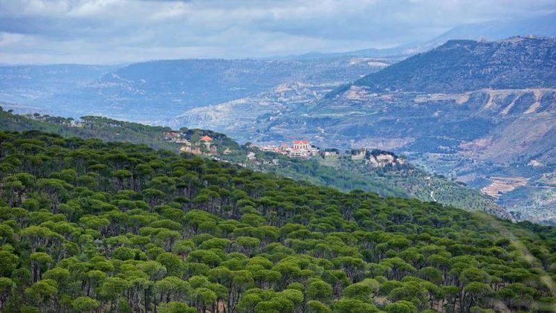 سموم إسرائيلية تضرب الجنوب