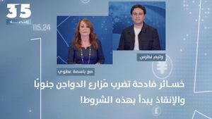 خسائر فادحة تضرب مَزارع الدواجن جنوبا بلا أي تعويض - صرخة أخيرة للجنوبيين: الإنقاذ يبدأ بهذه الشروط!
 
