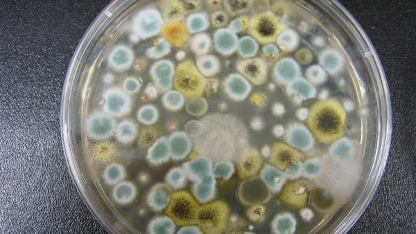 هلع في لبنان.. الهواء نفسه مصدر الخطر الصحي؟