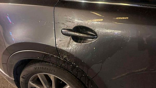 كمائن البيض.. والنجاة مرهونة بثوانٍ