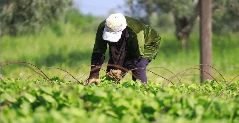 الجنوب يدفع الثمن الأكبر: الزراعة تنزف وكلفة الإنتاج ترتفع… المزارعون في مواجهة خسائر كبيرة
