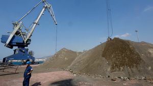 مجزرة صحية تتكشف للعلن