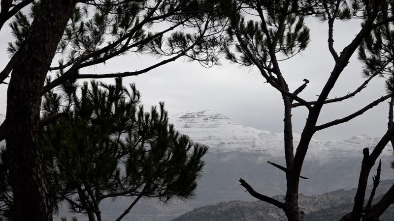 بعد هدوء العيد… الشتاء يعود بقوة!