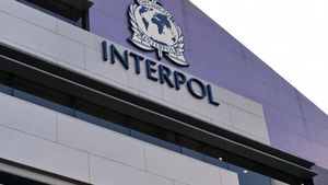 بعد فضيحة الأدوية المزوّرة… الإنتربول يلاحق ماريا فواز