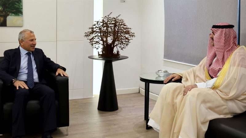 لقاء باسيل والسفير السعودي