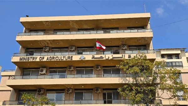 الأمن الغذائي.. فاجعة تضرب القطاع 