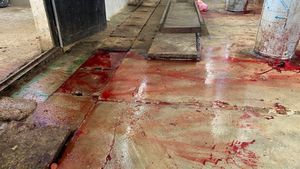 دماء الذبح في الليطاني… فضيحة بيئية موثّقة