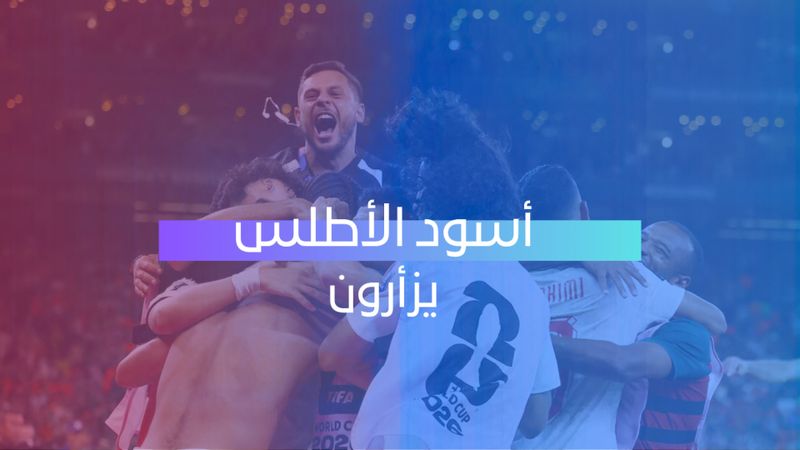 أسود الأطلس يزأرون