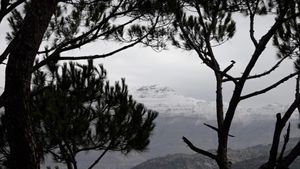 بعد هدوء العيد… الشتاء يعود بقوة!