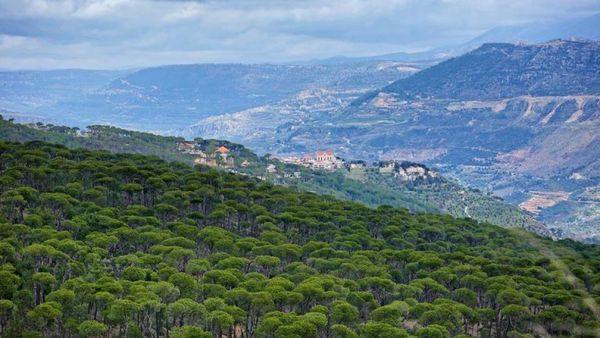 سموم إسرائيلية تضرب الجنوب