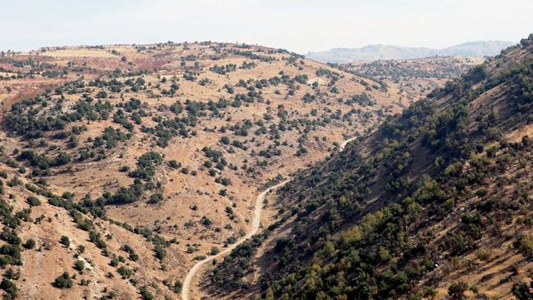 تهريب الأسلحة يفرض إيقاعه على الحدود