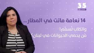 14 نعامة ماتت في المطار… والكلاب تُسمَّم! مَن يحمي الحيوانات في لبنان؟