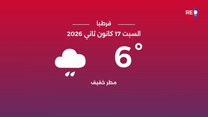 طقس السبت 17 كانون الثاني 2026