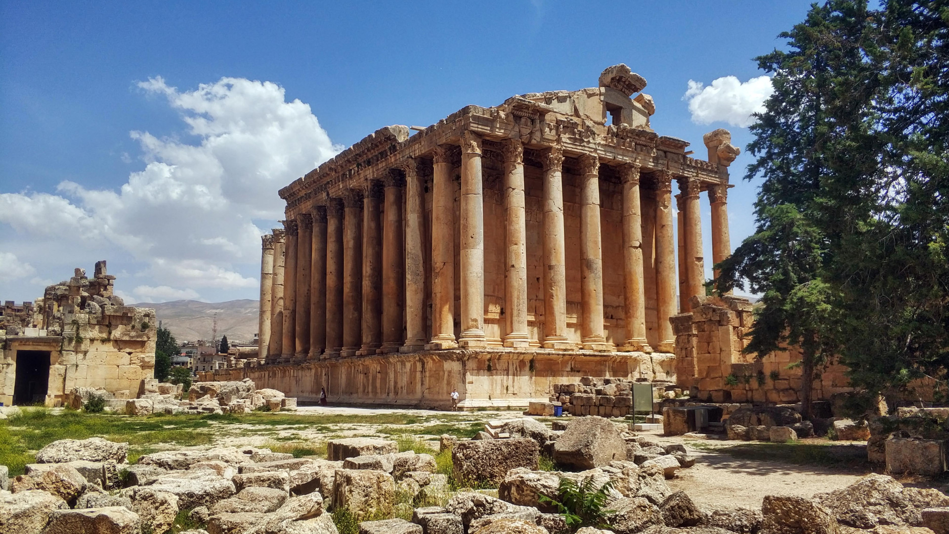 العمالة تلوث ثوب العائلة المقاوِم 