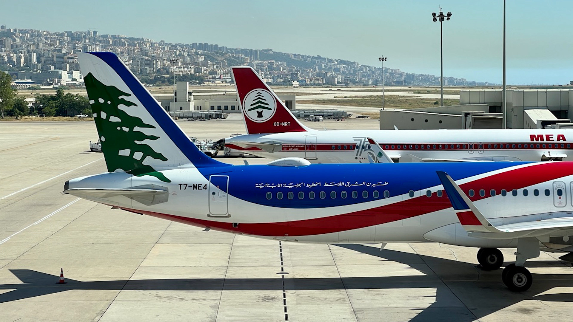 فضيحة الـMEA.. اختلاس وتلاعب بالعملات الرقمية