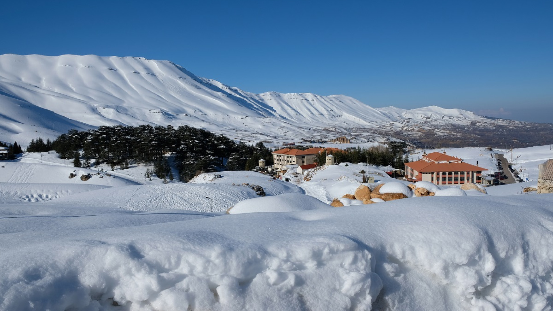 منخفضات متتالية.. في طريقها إلينا!
