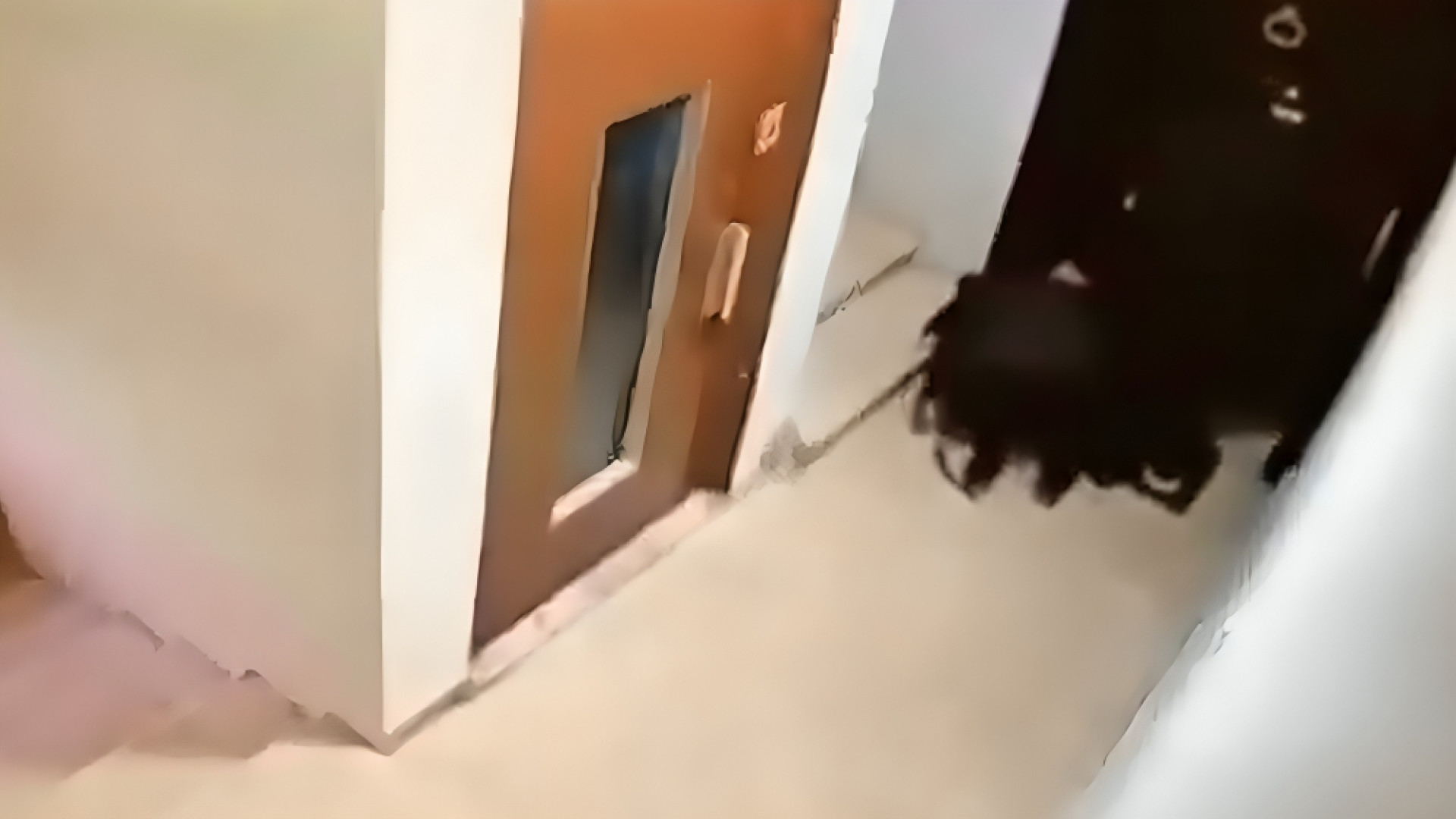 جريمة مروّعة تهزّ جسر الباشا.. وتطرح أسئلة حول الواقع الأمني