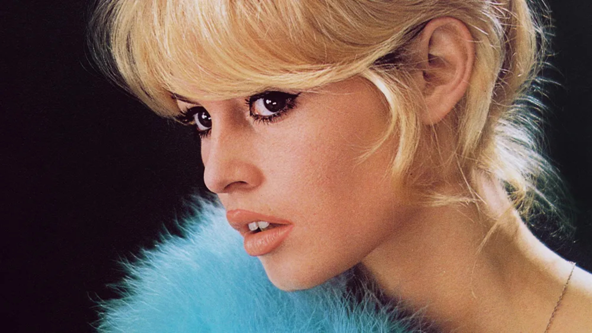 وداعًا بريجيت باردو... اسمٌ صنع ثورة في السينما 